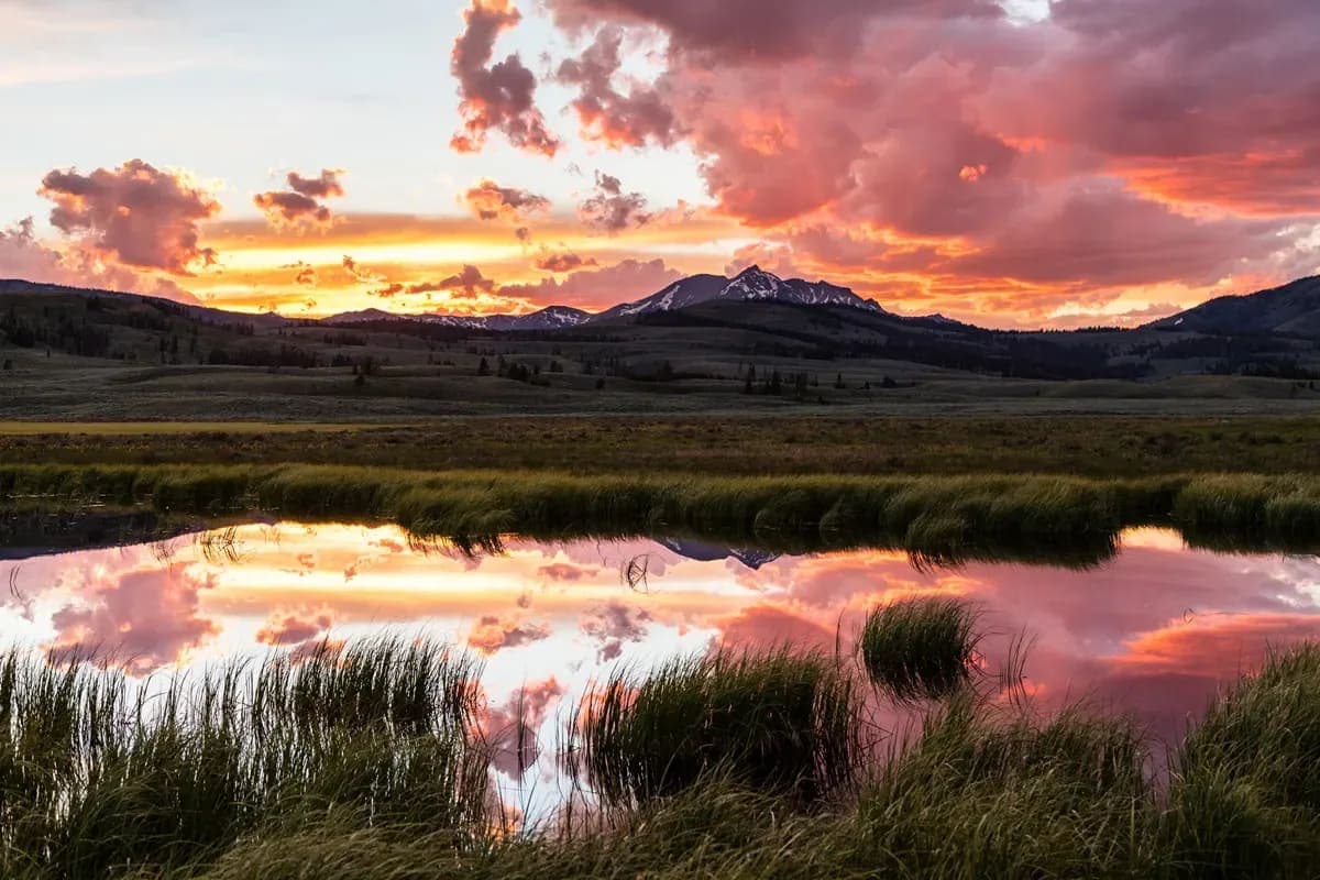 National Park of Yellowston's Picture (https://www.nps.gov/yell/index.htm)